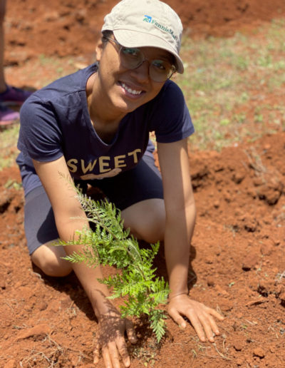 Reforestation de Madagascar : COSOURCING s'engage