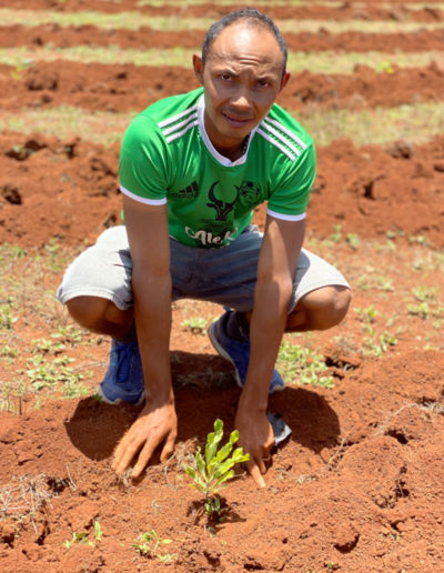 Reforestation de Madagascar : COSOURCING s'engage